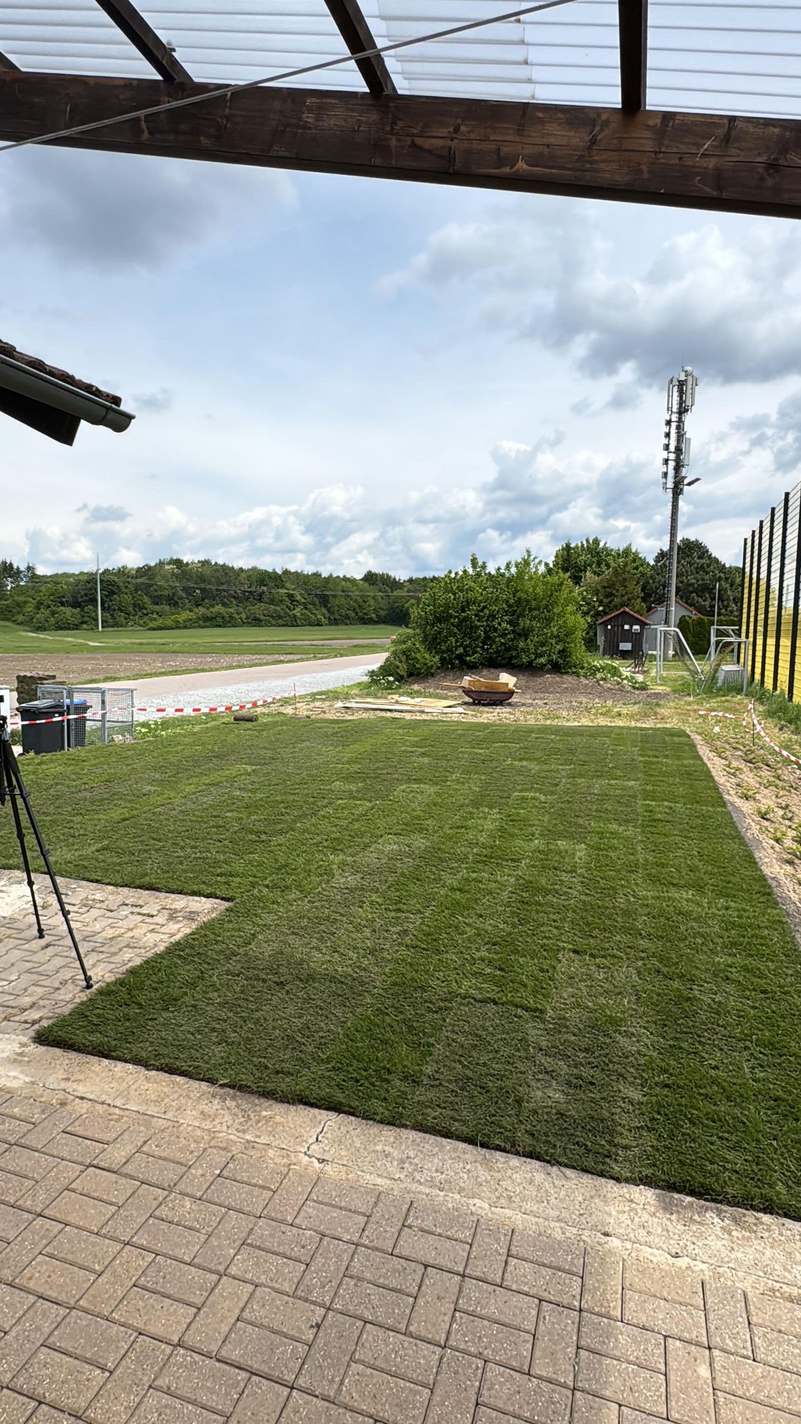 Gepflegter Rasen Referenz 1