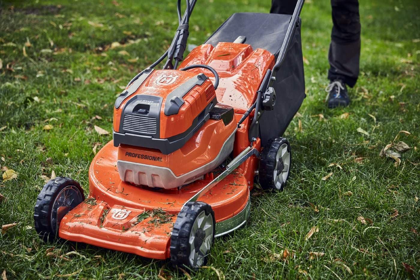 Vertikutieren Ergebnis