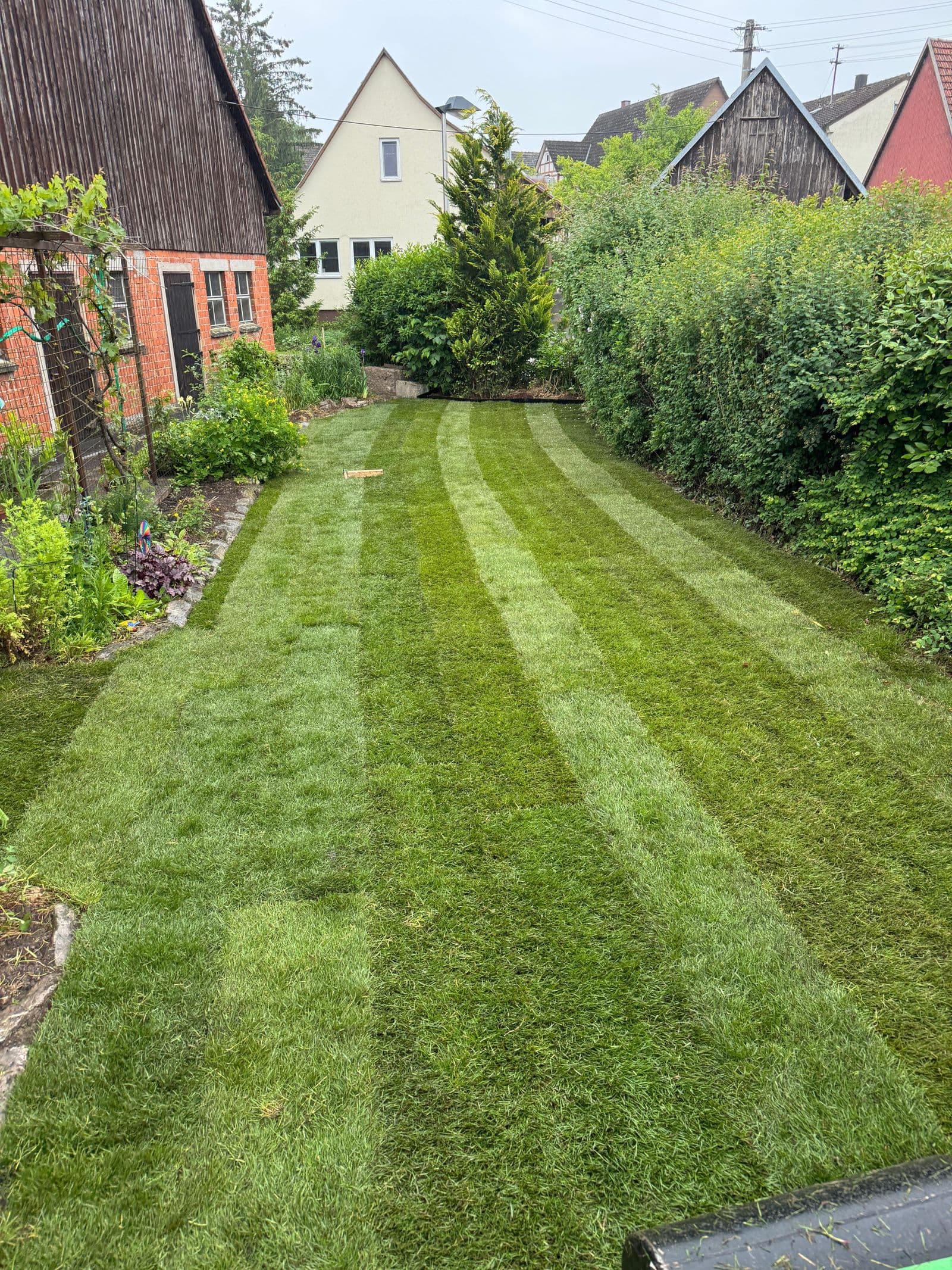 Rasenmähen Referenz